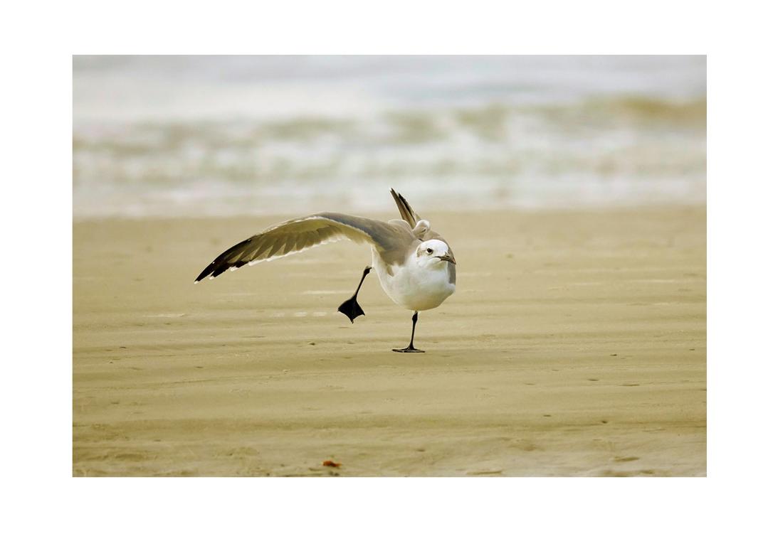 Coaching / Supervision